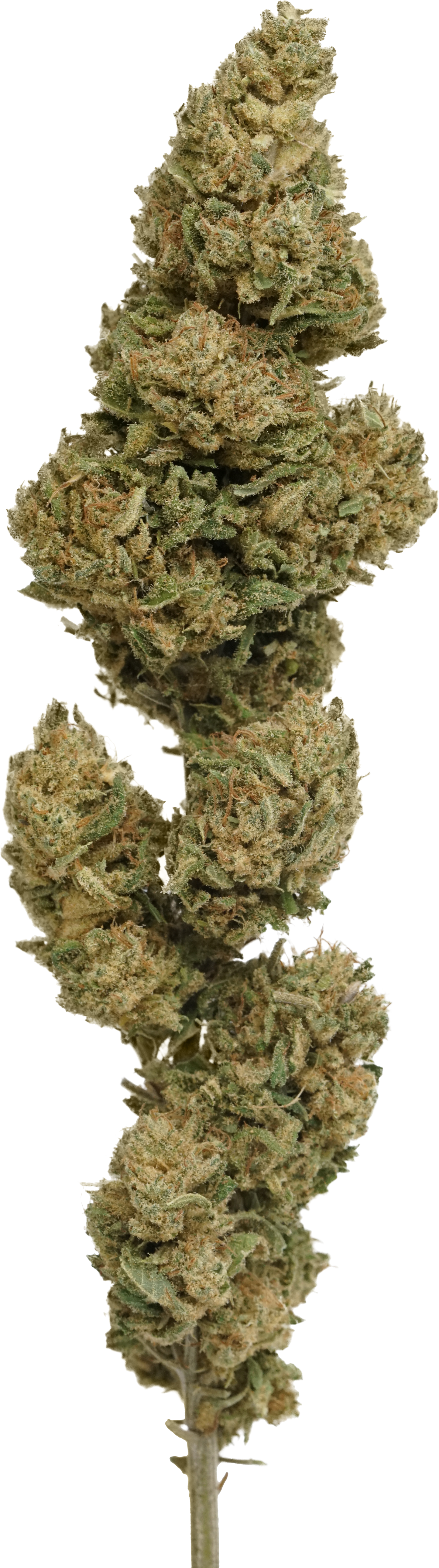 Hawaiian Haze