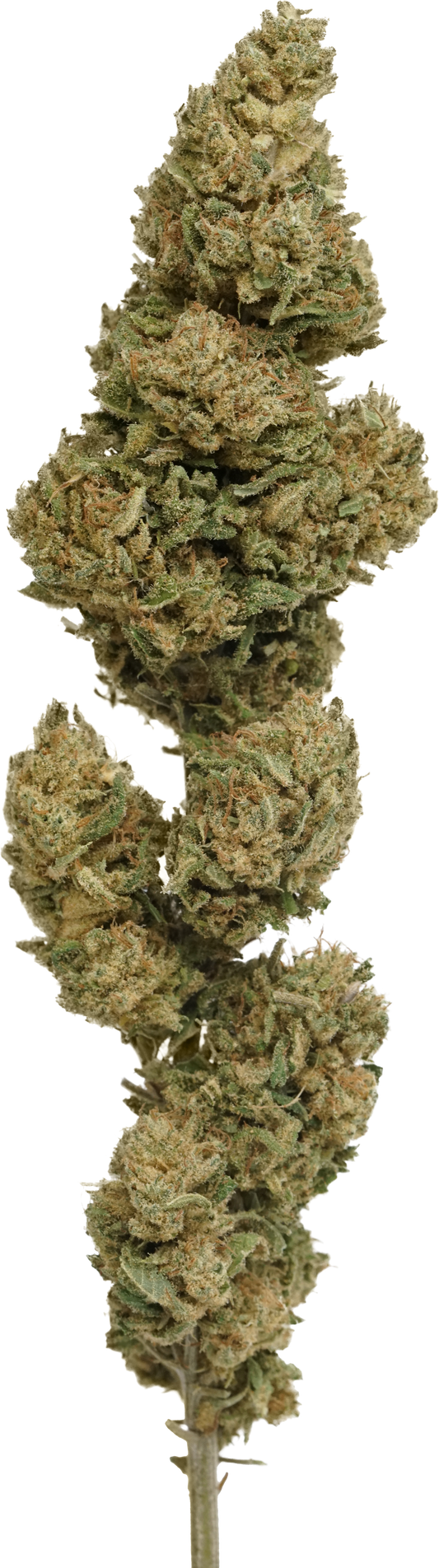 Hawaiian Haze